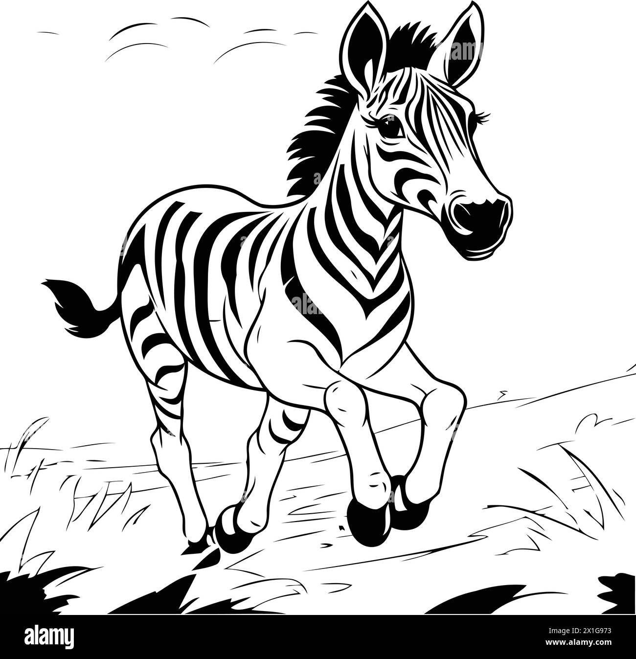 Zebra dans le champ. Illustration vectorielle d'un animal sauvage. Illustration de Vecteur