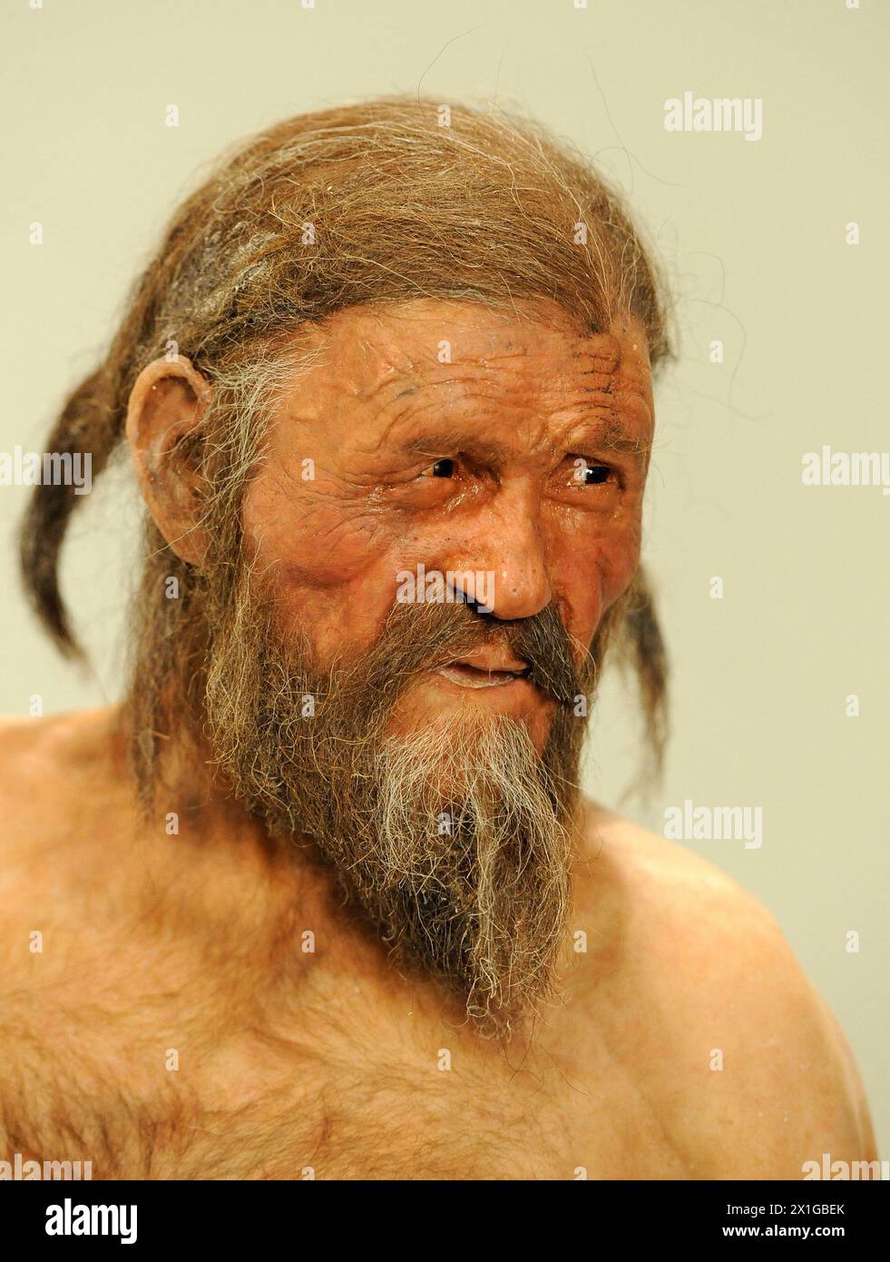 Une réplique de Iceman Oetzi à l'exposition '20 ans d'Oetzi' au Musée d'archéologie du Tyrol du Sud à Bolzano, Italie, 28 février 2011. L'exhibirion se déroule du 1er mars 2011 au 15 janvier 2012. - 20110228 PD2964 - Rechteinfo : droits gérés (RM) Banque D'Images