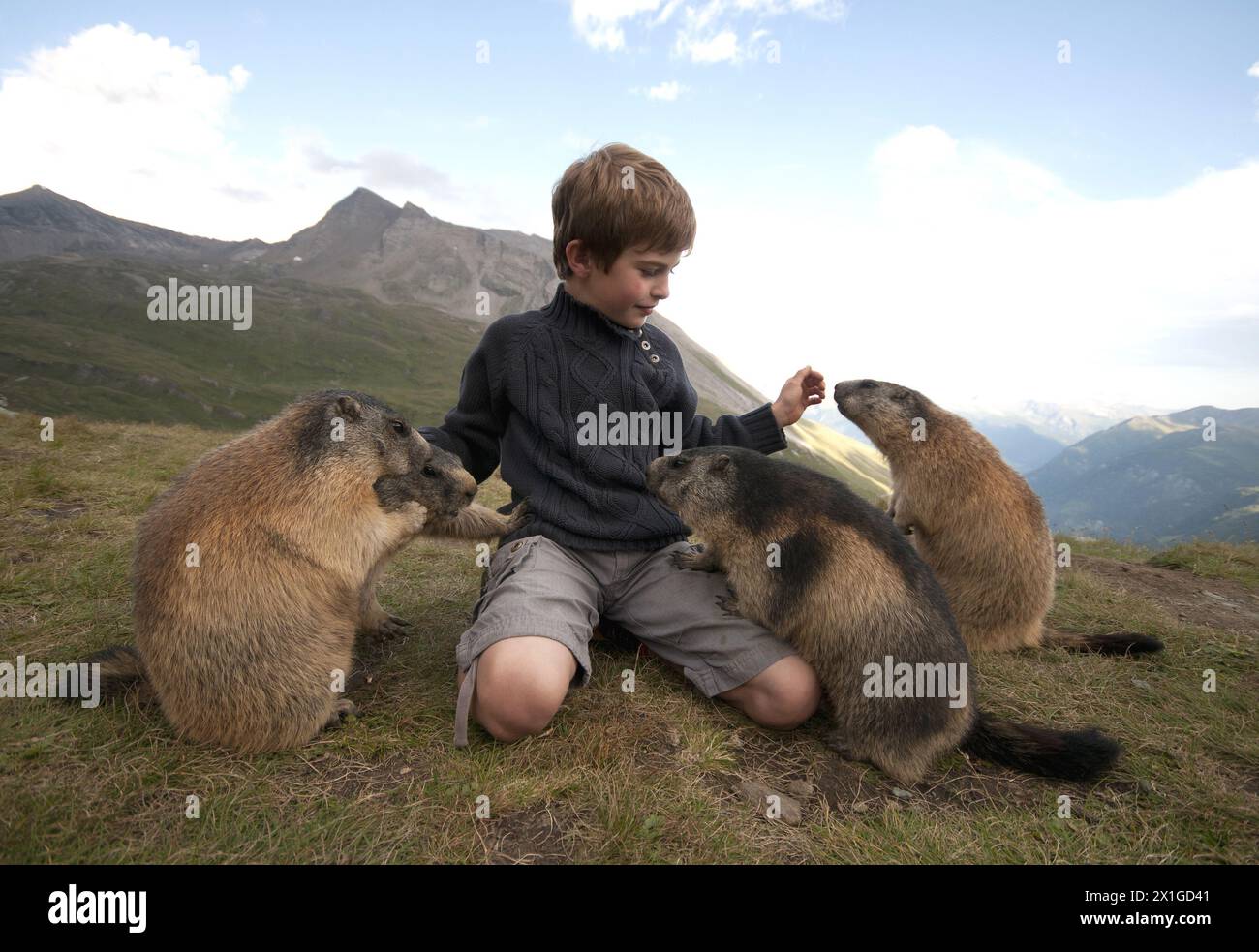 Innsbruck - caution spéciale : Matteo Walch, écolier de 8 ans, avec un groupe de marmottes dans les Alpes autrichiennes. PICTURE : Matteo Walch avec marmotte - 20110818 PD6096 - Rechteinfo : droits gérés (RM) Banque D'Images