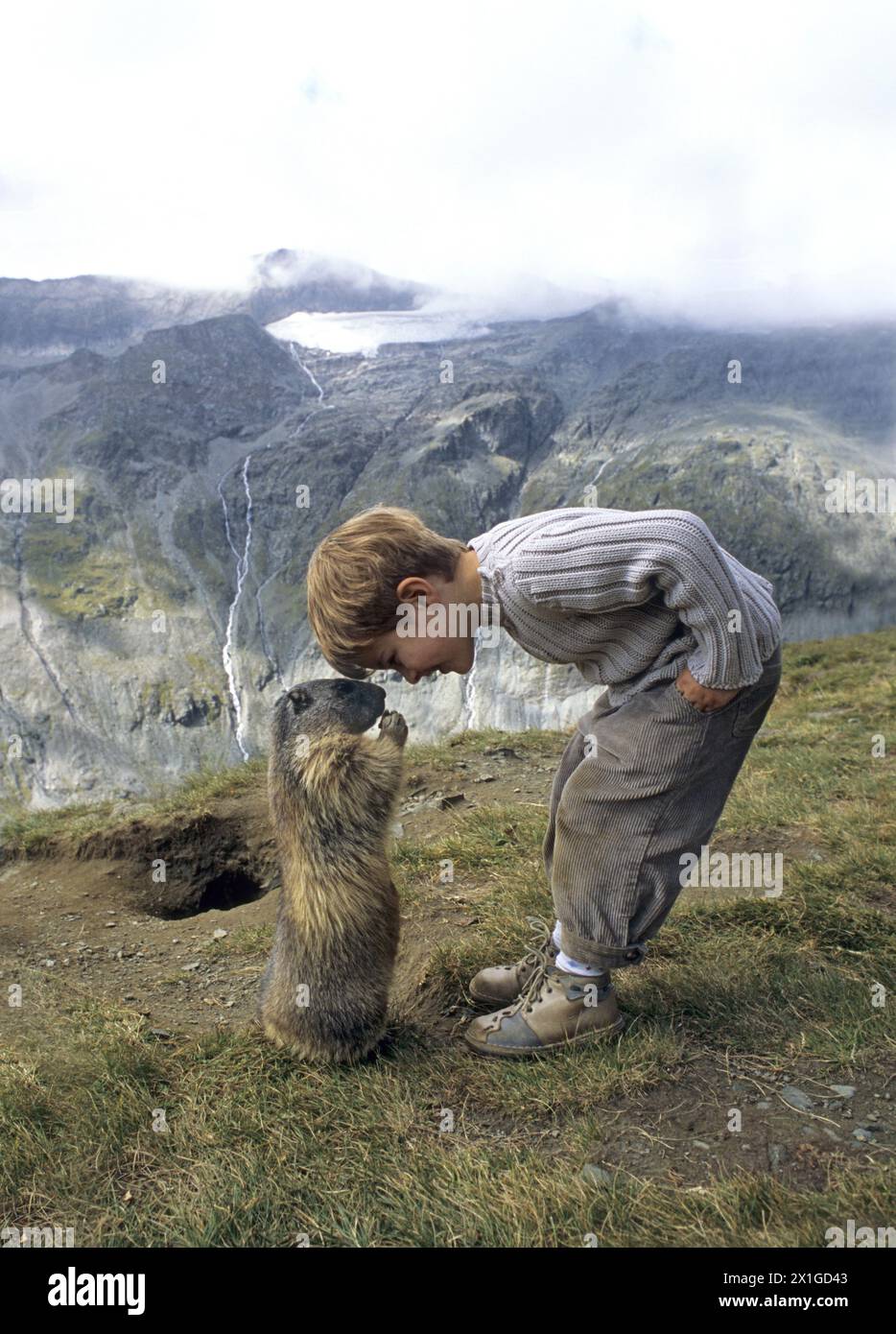 Innsbruck - caution spéciale : Matteo Walch, écolier de 8 ans, avec un groupe de marmottes dans les Alpes autrichiennes. PICTURE : Matteo Walch avec marmotte - 20110818 PD6097 - Rechteinfo : droits gérés (RM) Banque D'Images