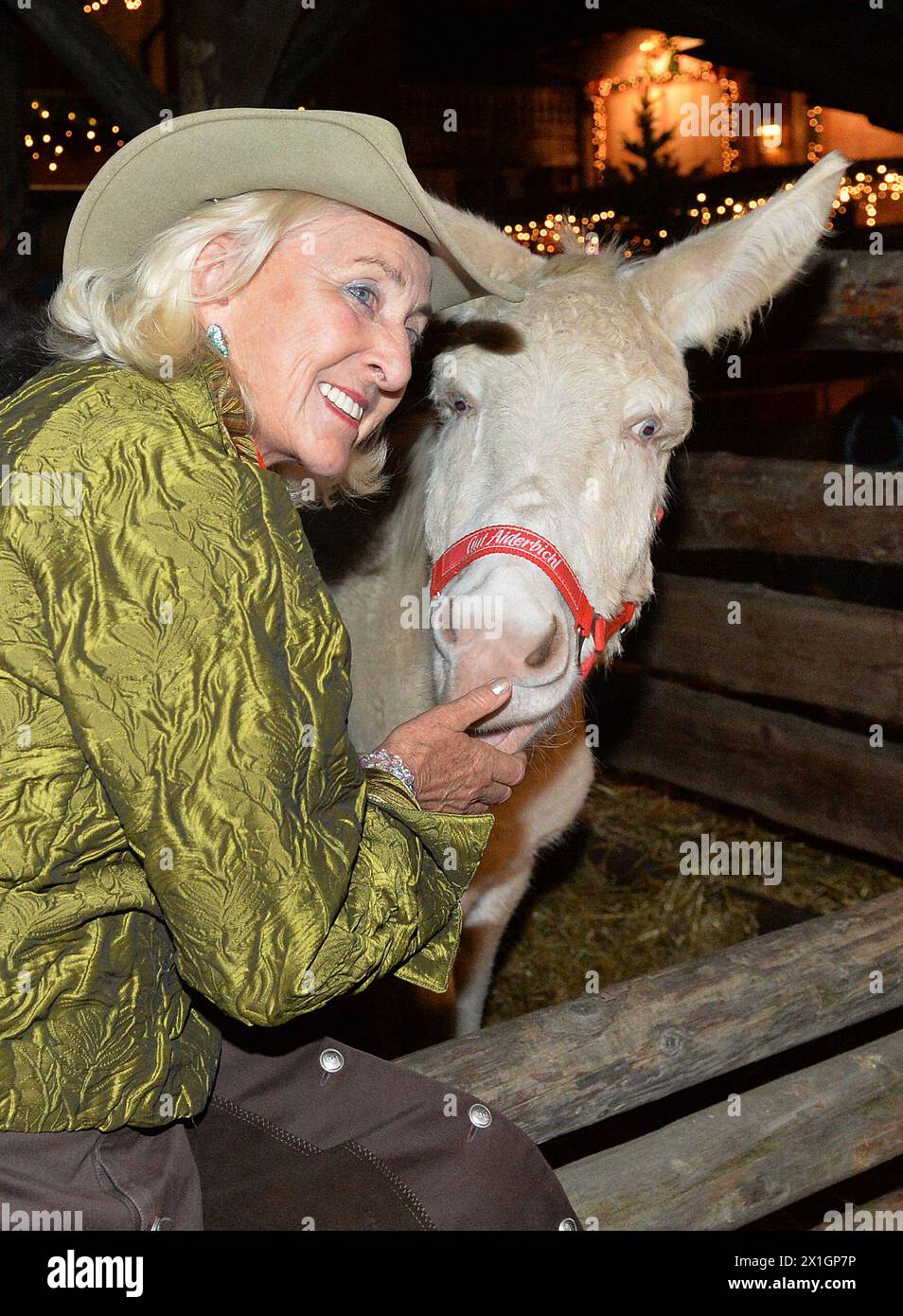 Le marché de Noël du domaine Aiderbichl à Henndorf, en Autriche, a ouvert ses portes le 14 novembre 2013. - 20131114 PD5466 - Rechteinfo : droits gérés (RM) Banque D'Images