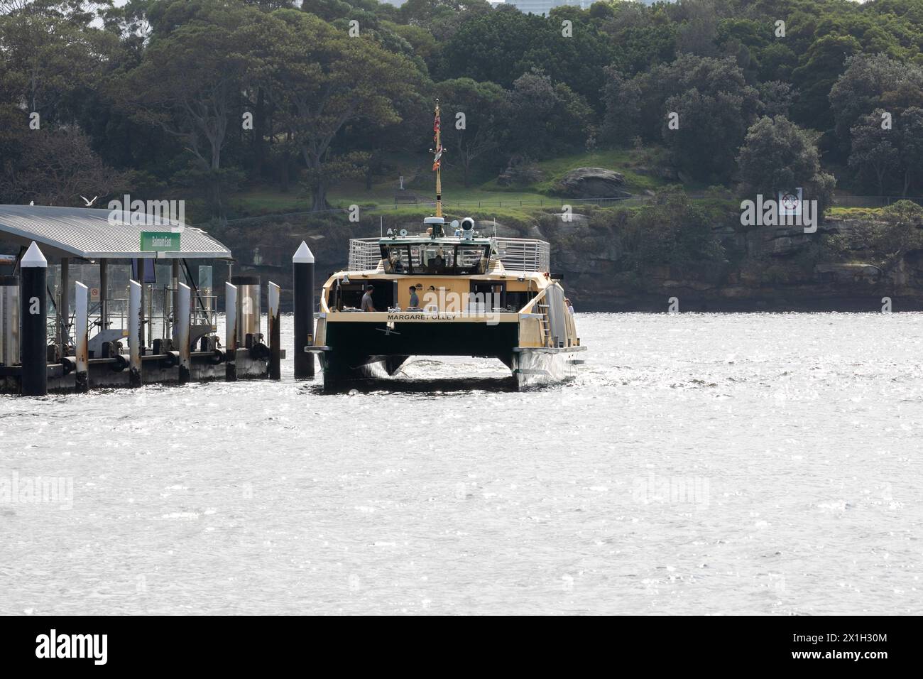 Sydney ferry, le MV Margaret Olley, un ferry de classe fluviale à Balmain East ferry Warf, Sydney Harbour, Nouvelle-Galles du Sud, Australie Banque D'Images