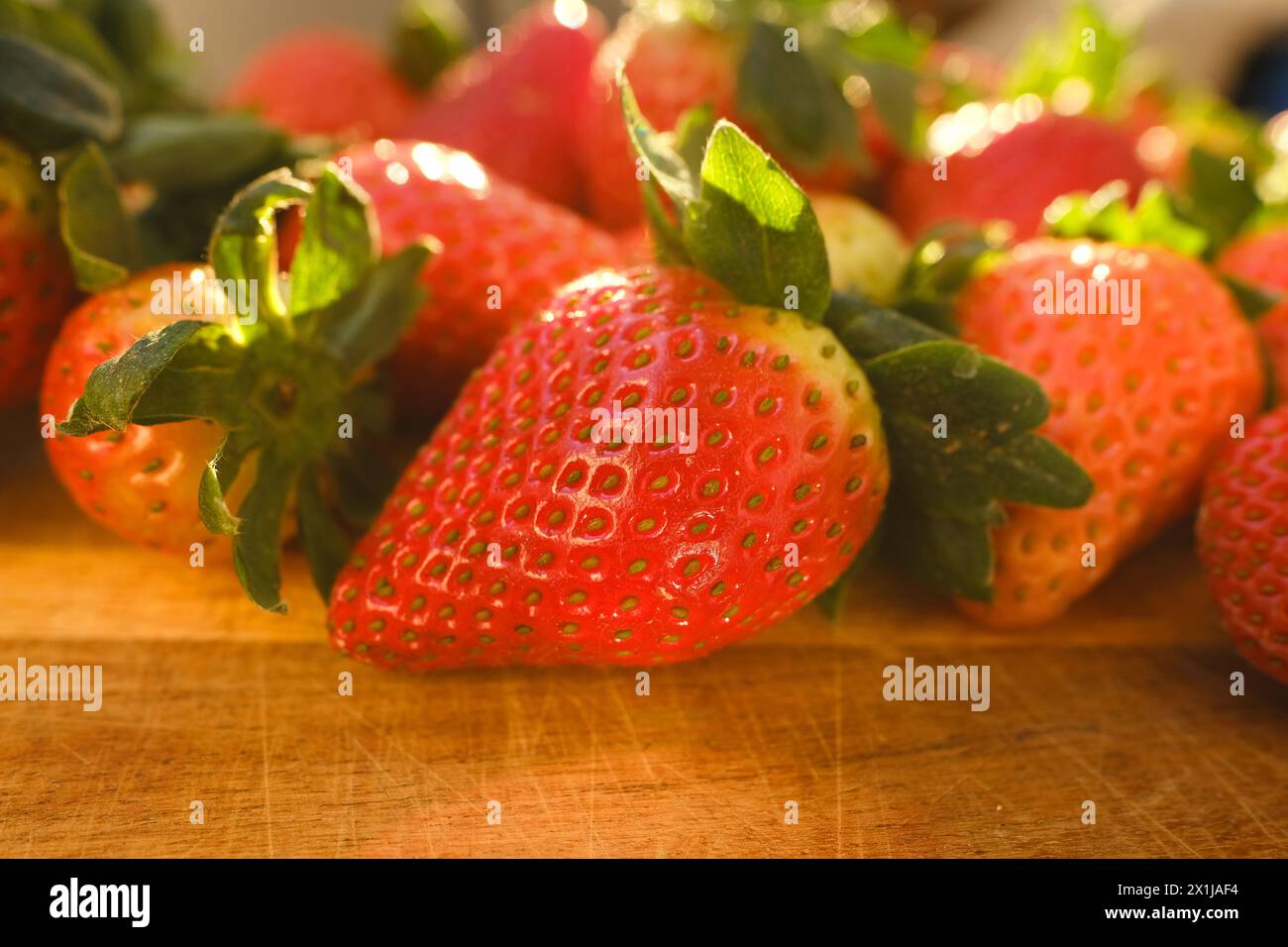 Appétissante fraises fraîches rouges mûres, Fragaria, sur planche de bois, rayons lumineux du soleil, fruits juteux de vitamine frais, concept riche de jardinage de récolte, ve Banque D'Images