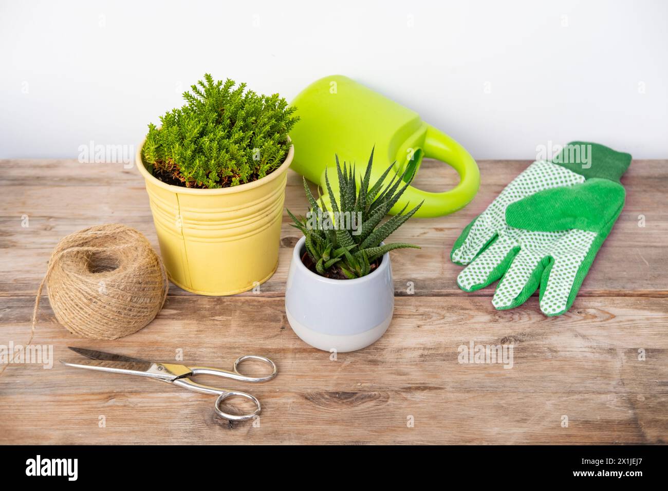 Plantes d'intérieur, ficelle verte, gants sur table en bois, concept d'esthétique florale, verdure intérieure et impact positif des plantes sur l'environnement intérieur, B. Banque D'Images