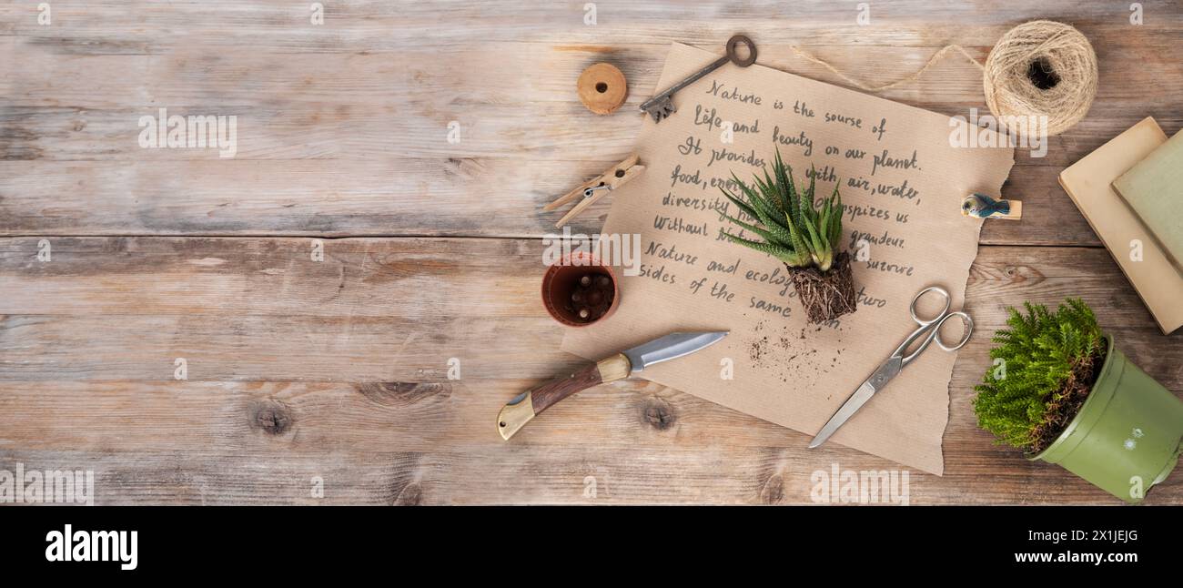 Plantes d'intérieur sur table en bois, concept d'esthétique florale, verdure intérieure et impact positif des plantes sur l'environnement intérieur, Botanical Wellness Banque D'Images