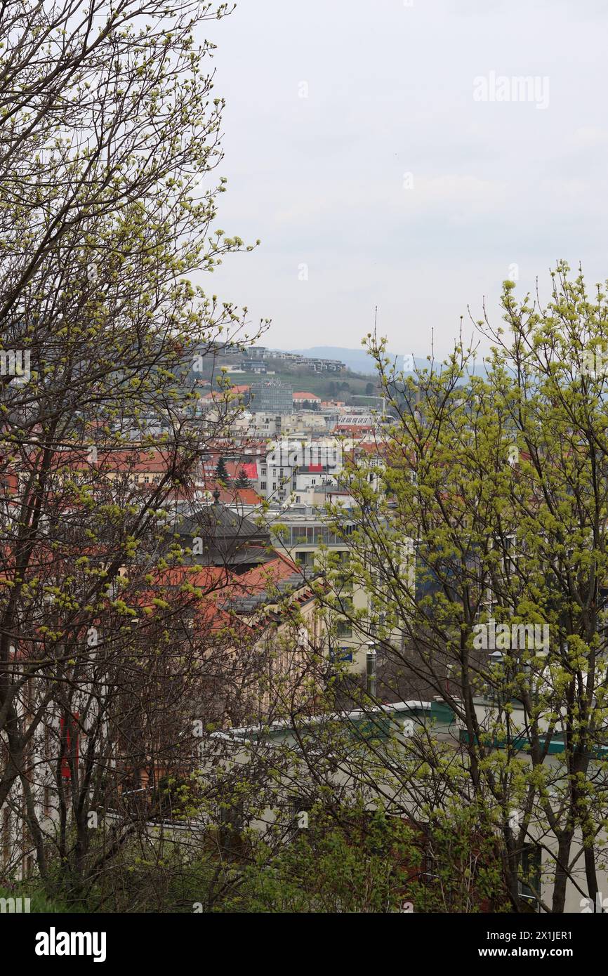 Vue de la vieille ville depuis la colline du château, Bratislava, Slovaquie. Vue sur la rue, vieilles maisons au toit rouge. Printemps en Europe. Banque D'Images