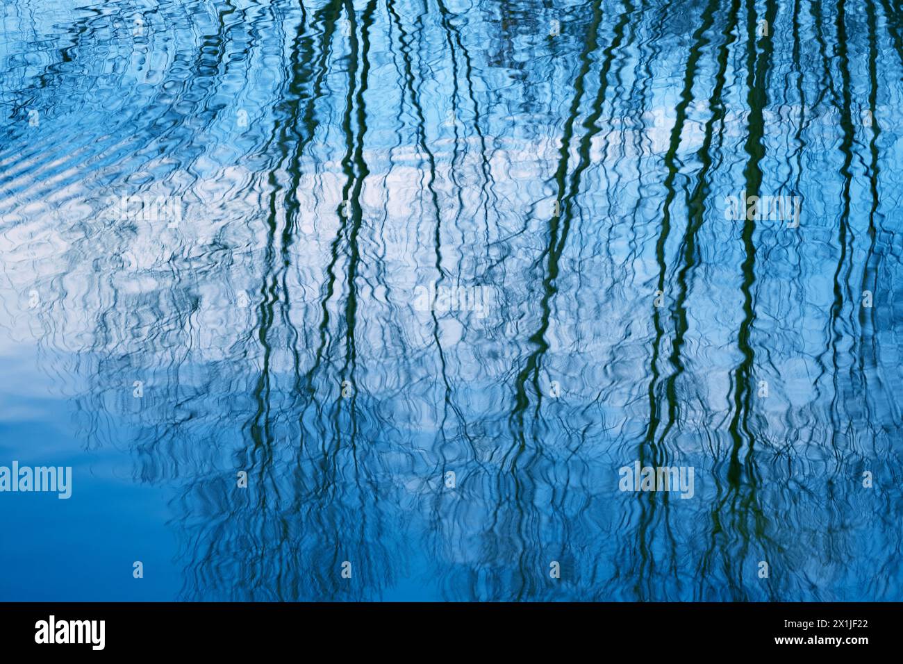 scène fascinante lac ou étang avec des reflets ondulés branches d'arbre dans l'eau ondulante, ciel bleu crée la tranquillité et la paix sens, tandis que les ondulations ajoutent Banque D'Images