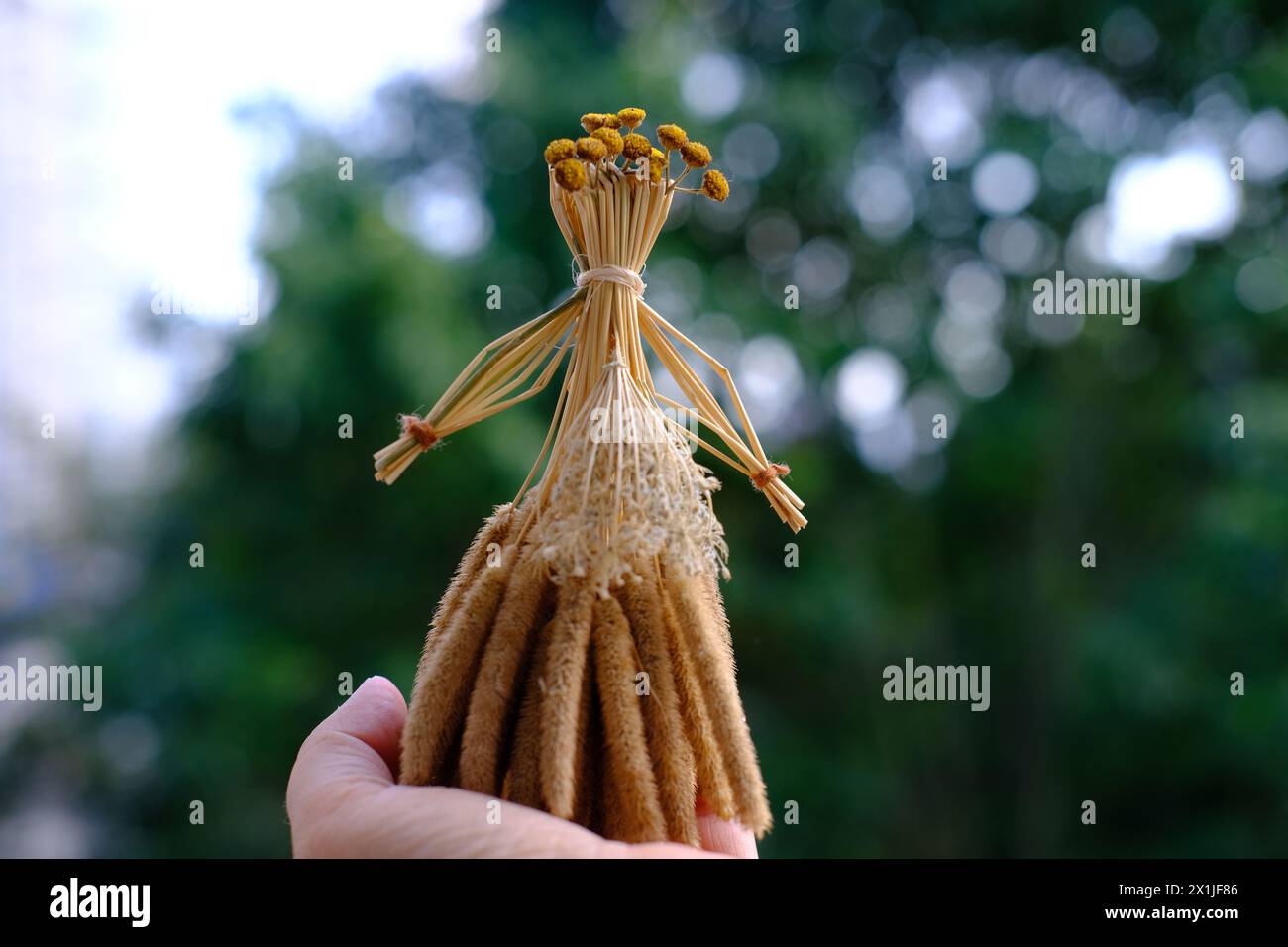 les mains féminines tiennent la poupée rituelle en paille, herbe en l'honneur riche récolte, épouvantail pour la fertilité, vieux jouet, amulette pour les femmes, les enfants, pagan folk ar Banque D'Images