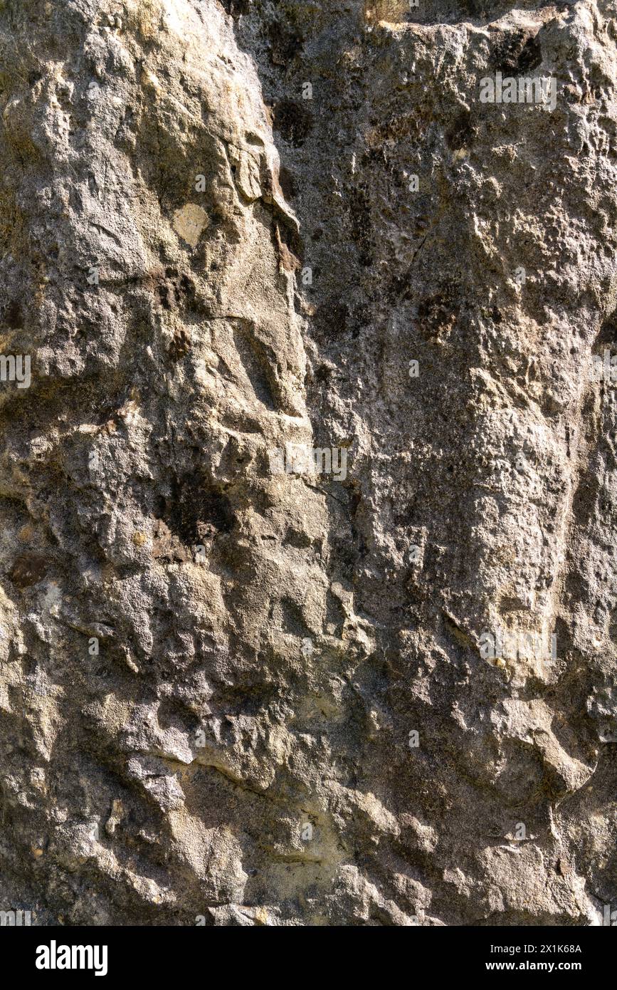 Texture de gros calcaire brut debout. Banque D'Images