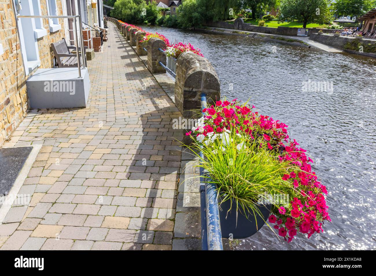 Fleurs roses et blanches sur la promenade de la Roche-en-Ardenne, Belgique Banque D'Images