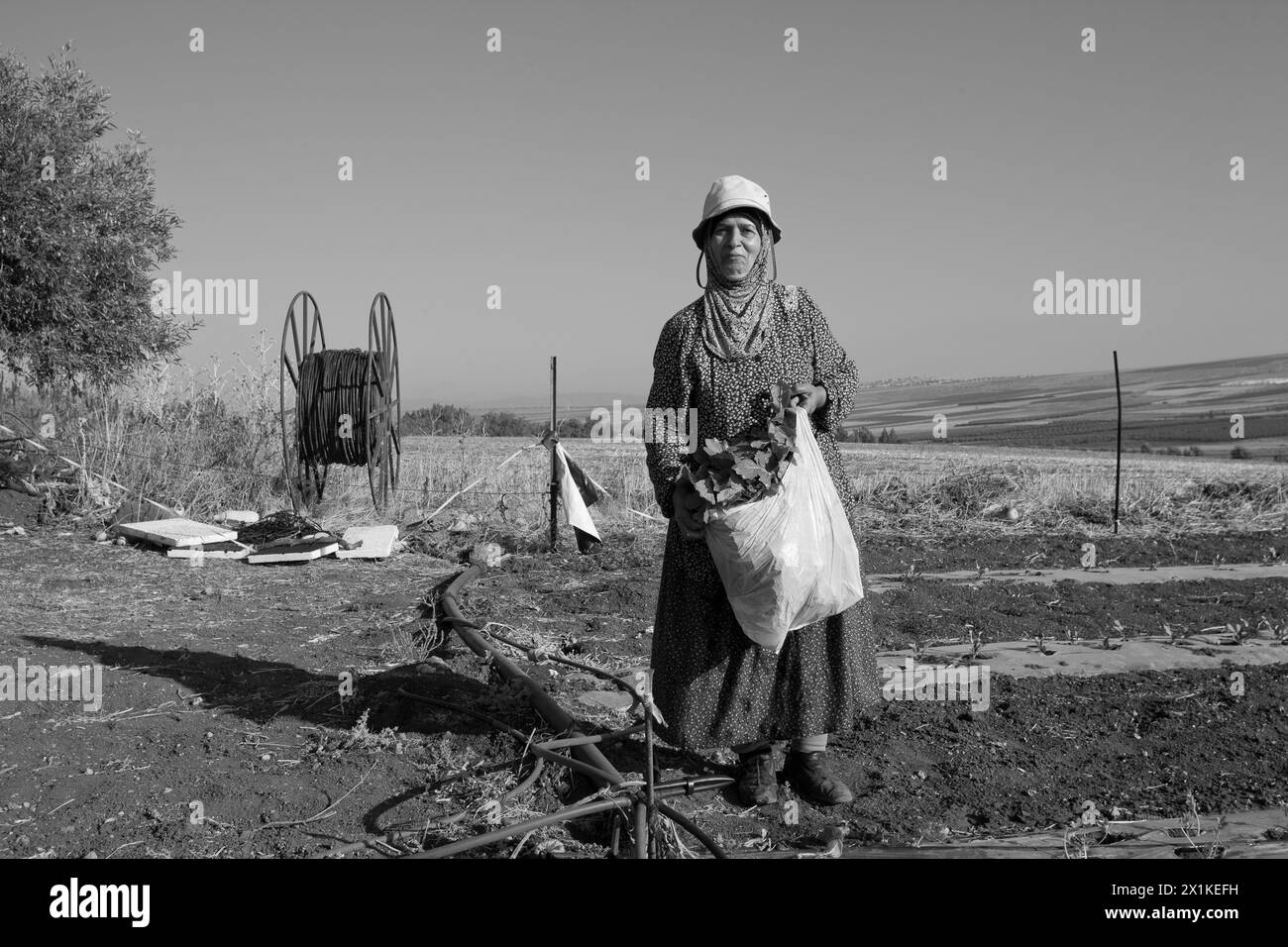 Femme agricole arabe se tient debout contre moi dans sa parcelle de légumes en Galilée Banque D'Images