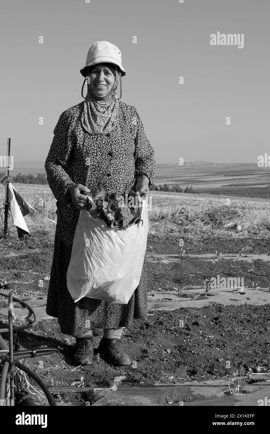 Femme agricole arabe se tient debout contre moi dans sa parcelle de légumes en Galilée Banque D'Images