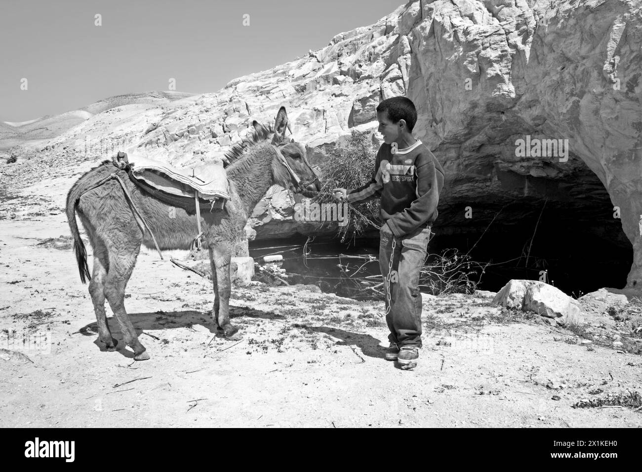 Garçon bédouin tenant un âne dans le désert Banque D'Images