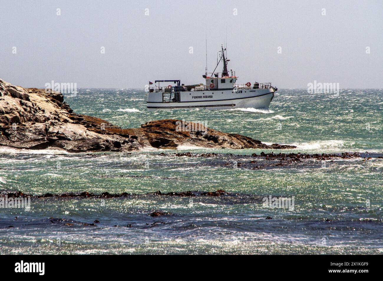 Navire de recherche halieutique naviguant à travers les mers vertes et agitées au large de la pointe rocheuse de Diaz près de Luderitz, Namibie. Banque D'Images