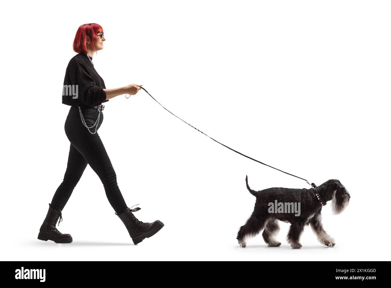 Plan de profil pleine longueur d'une jeune femme avec les cheveux roux marchant un chien schnauzer isolé sur fond blanc Banque D'Images
