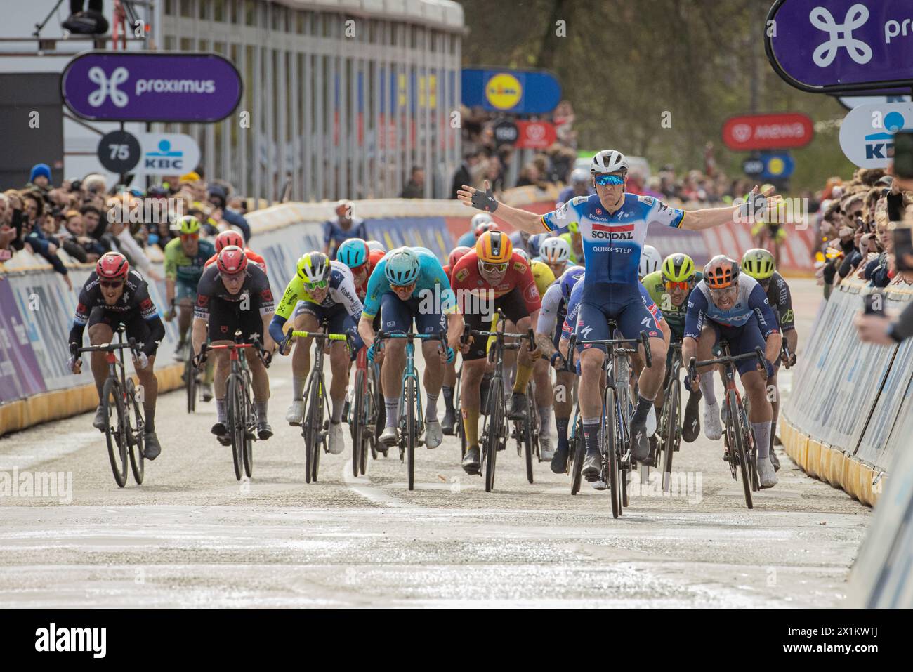 ZScheldeprijs, Belgique. Soudal Quick - Tim Merlier de Step célèbre sa victoire à Scheldeprijs après avoir battu Jasper Philipsen et Dylan Groenewegen au classement Banque D'Images