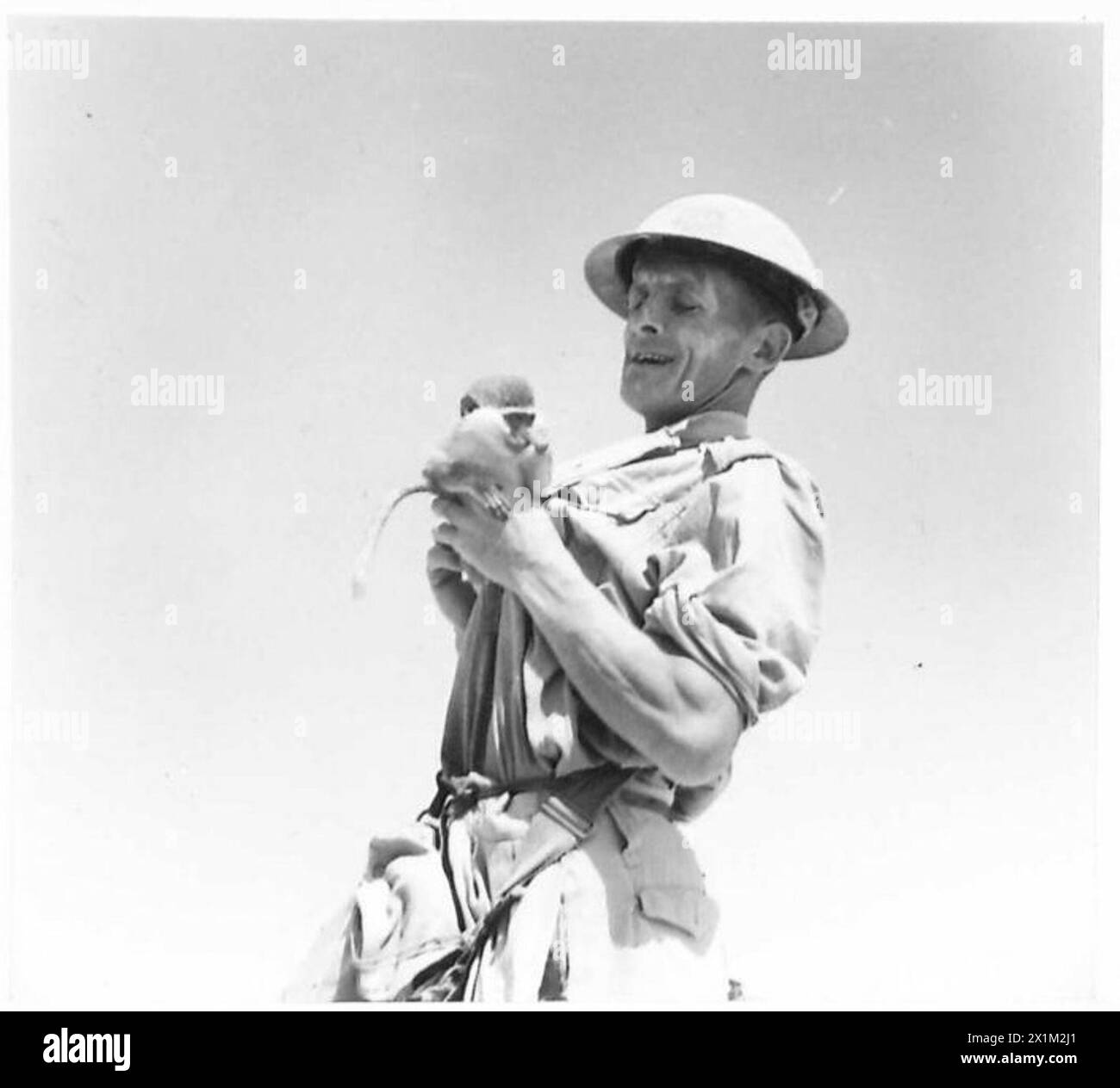 Private Whiskey, une mascotte de singe araignée du corps, accompagné de son gardien, participe à des exercices de baignade en mer, British Army. Banque D'Images