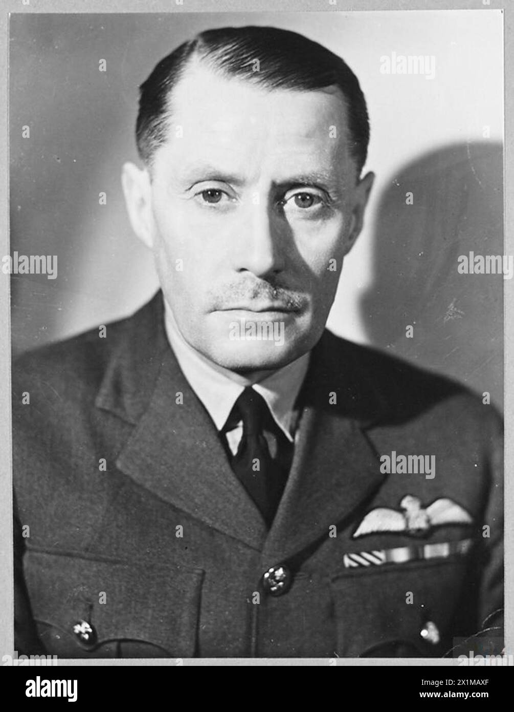 Air Commodore S.E. Toomer, récipiendaire du DFC, est représenté en uniforme de la Royal Air Force. Banque D'Images