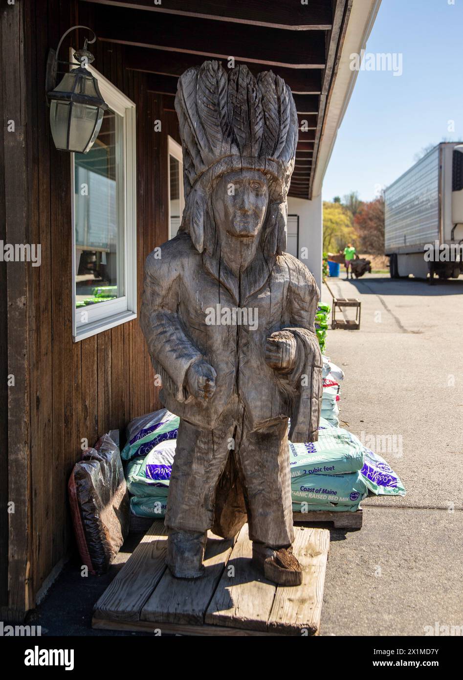 Statue amérindienne en bois dans une pépinière Banque D'Images