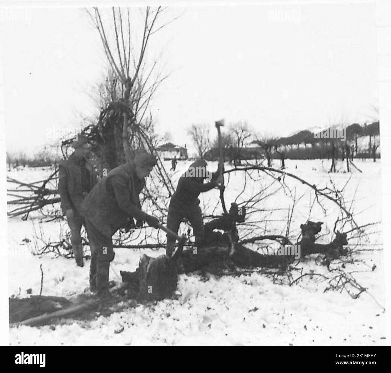 Les soldats de la batterie 230, du régiment moyen 58, de la Royal Artillery, de l'armée britannique coupent des bûches pour des incendies dans des conditions enneigées sur le front italien. Banque D'Images