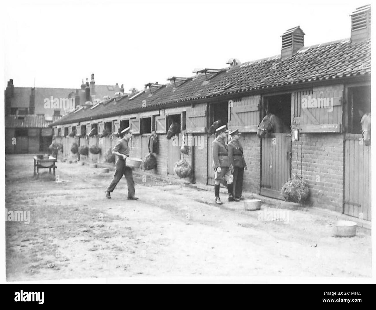 TROUPES du 1er CORPS DU R.A.V.C. - deux officiers néerlandais sont attachés à cette unité, et sont vus ici lors de leur inspection, British Army Banque D'Images