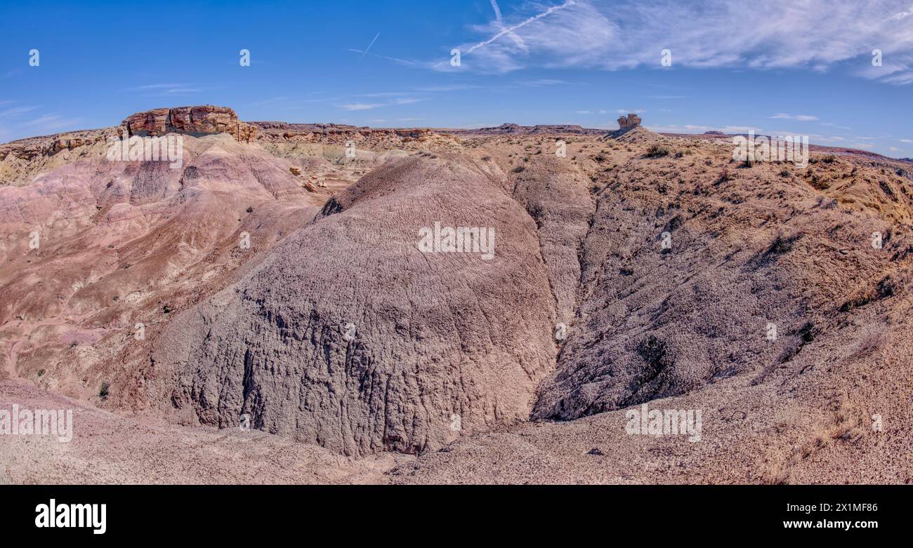 Une crête de bentonite au-dessus du Jim Camp Wash dans la vallée de Hamilili à l'extrémité sud du parc national Petrified Forest en Arizona. Banque D'Images
