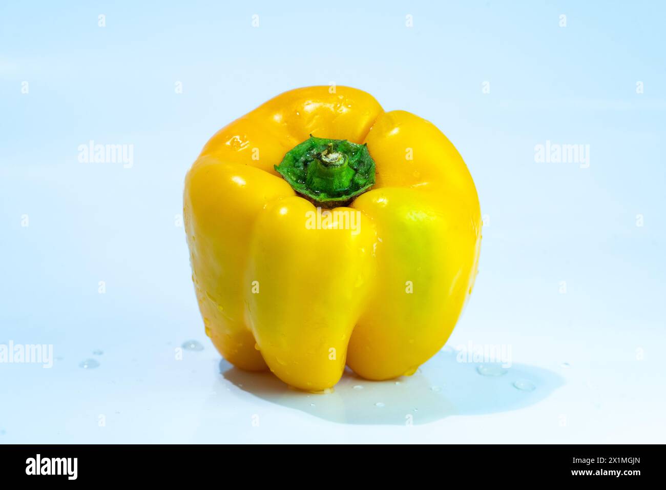 Capsicum jaune sur fond blanc Banque D'Images