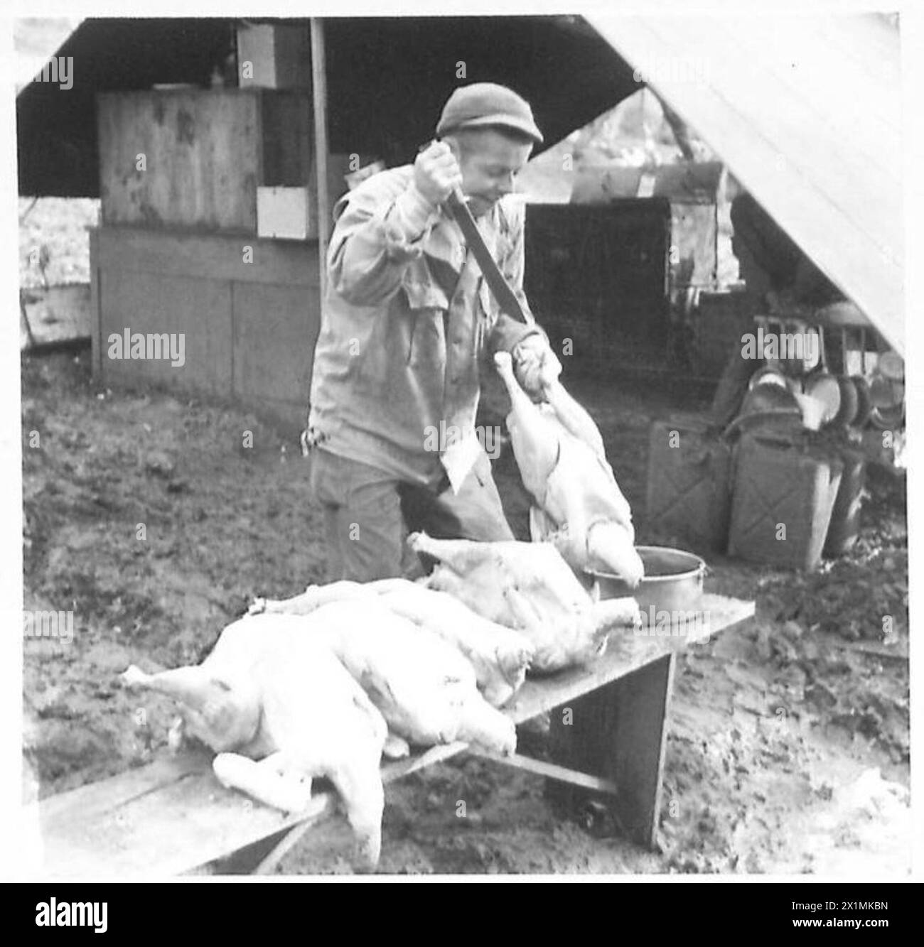 Un ordonnateur américain prépare des dindes pour un dîner de Thanksgiving dans le secteur américain de la Cinquième armée britannique en Italie. Banque D'Images