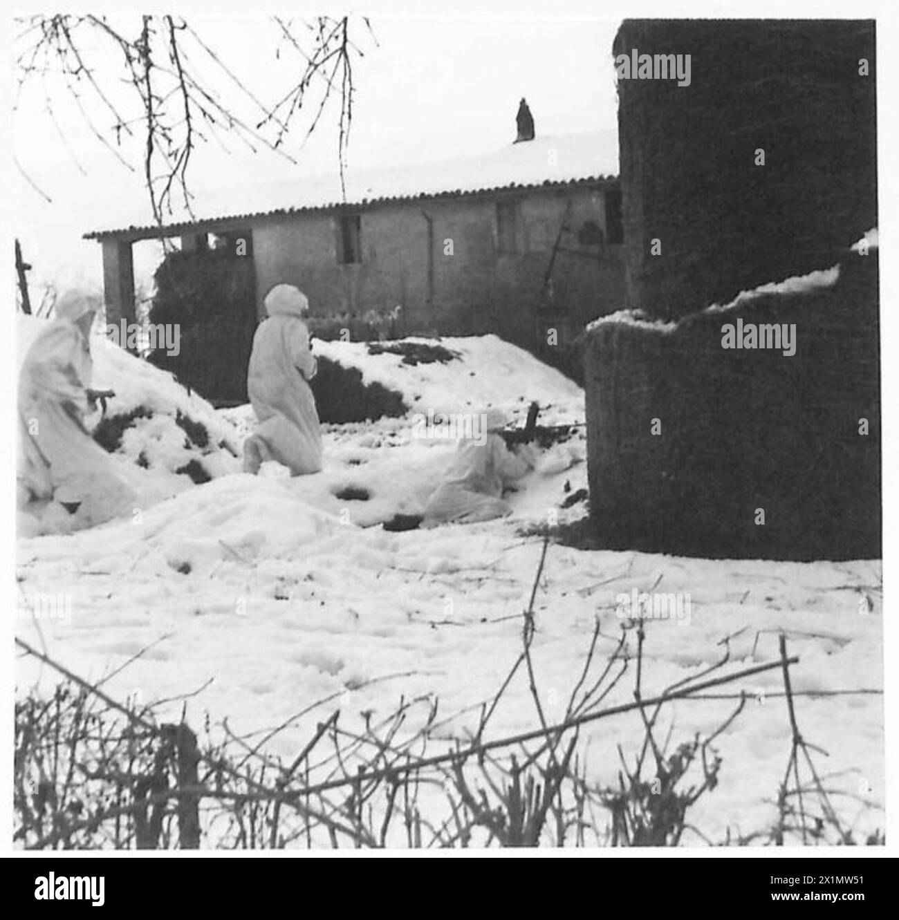 Soldats néo-zélandais faisant preuve de camouflage de neige, avançant sur leur objectif sous le couvert d'un mitrailleur Bren, 8e armée, armée britannique. Banque D'Images