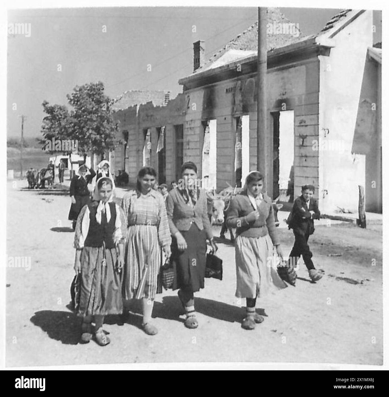 Des paysannes portant des robes traditionnelles marchent pour travailler dans les champs de Drvar, en Bosnie, observées par les unités de l'armée britannique. Banque D'Images