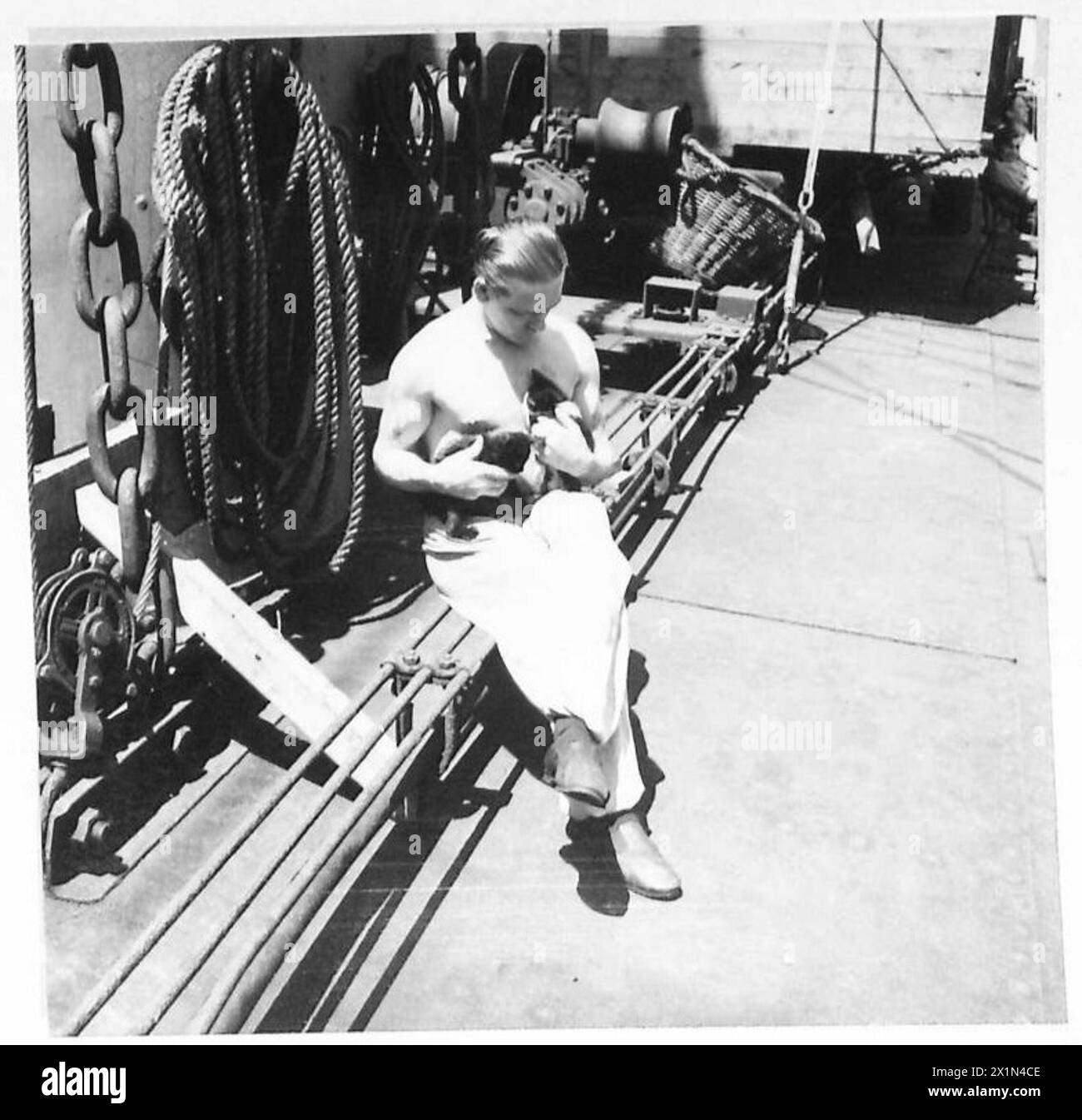 Greaser F. Quilty, de Terre-Neuve, interagit avec des animaux de compagnie à bord d'un navire de l'armée britannique à destination de l'Afrique en convoi. Banque D'Images