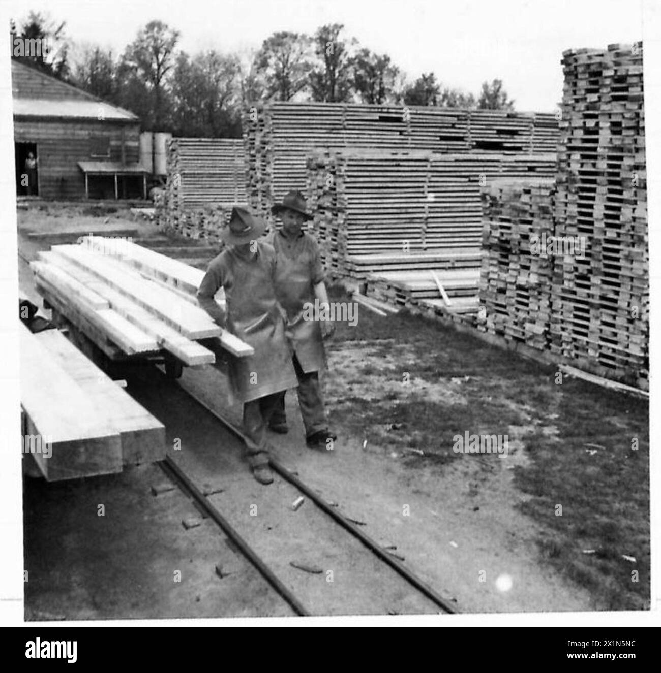 Les hommes de brousse néo-zélandais de l'armée britannique transportant du bois coupé en piles dans un millésime militaire. Banque D'Images