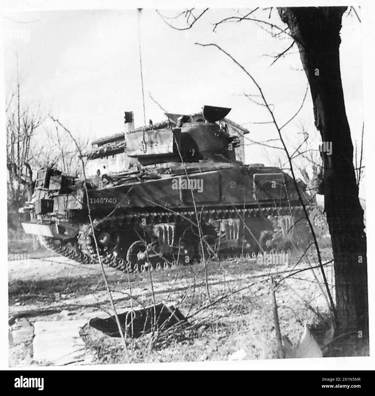 Un char Sherman de l'armée britannique tire sur des points forts ennemis sur la rive nord du canal à Porto Cosini pendant les opérations de la 8e armée. Banque D'Images