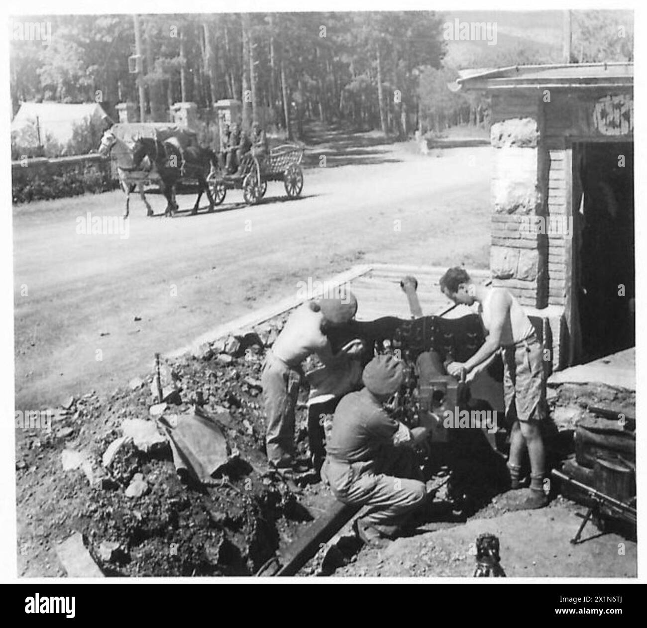 Les hommes du 67e régiment antichars de l'artillerie royale manquent leur arme sur une route bifurquée à Comeno alors qu'un véhicule yougoslave tiré par des chevaux passe, faisant partie des opérations de la 8e armée. Banque D'Images
