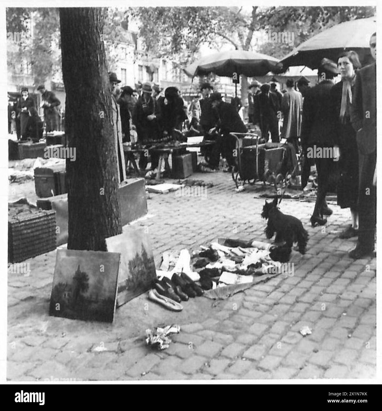 MARCHÉ DU DIMANCHE MATIN À BRUXELLES - cette série de photographies prises à Bruxelles illustre un marché typique du dimanche matin. Il est très semblable à notre Petticoat Lane où l'on peut acheter presque n'importe quoi. Des foules de folkloriques belges parcourent le marché à la recherche d'articles tels que des livres, du matériel, des pièces de vélo, des fruits et de nombreux autres articles dont ils ont besoin. Dans cette série est une vue générale d'une rue où le marché noir de Bruxelles s'est déroulé. Pas le marché noir comme nous le comprenons, mais où les Belges étaient approvisionnés en nourriture, etc., qui était interdit par les Allemands. [CES PHOTOGRAPHIES SONT À ILLUST Banque D'Images