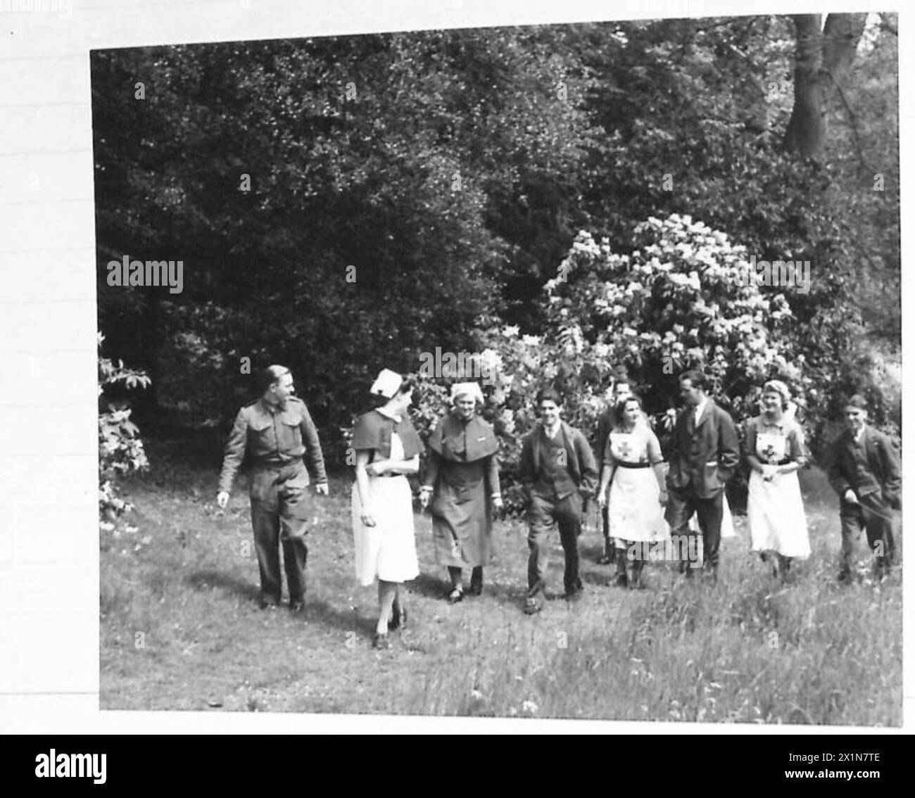 Infirmières et patients marchant dans les jardins du prieuré de Sandleford, une maison de campagne utilisée comme maison de convalescence, avec rhododendrons et azalées en fleurs, armée britannique. Banque D'Images