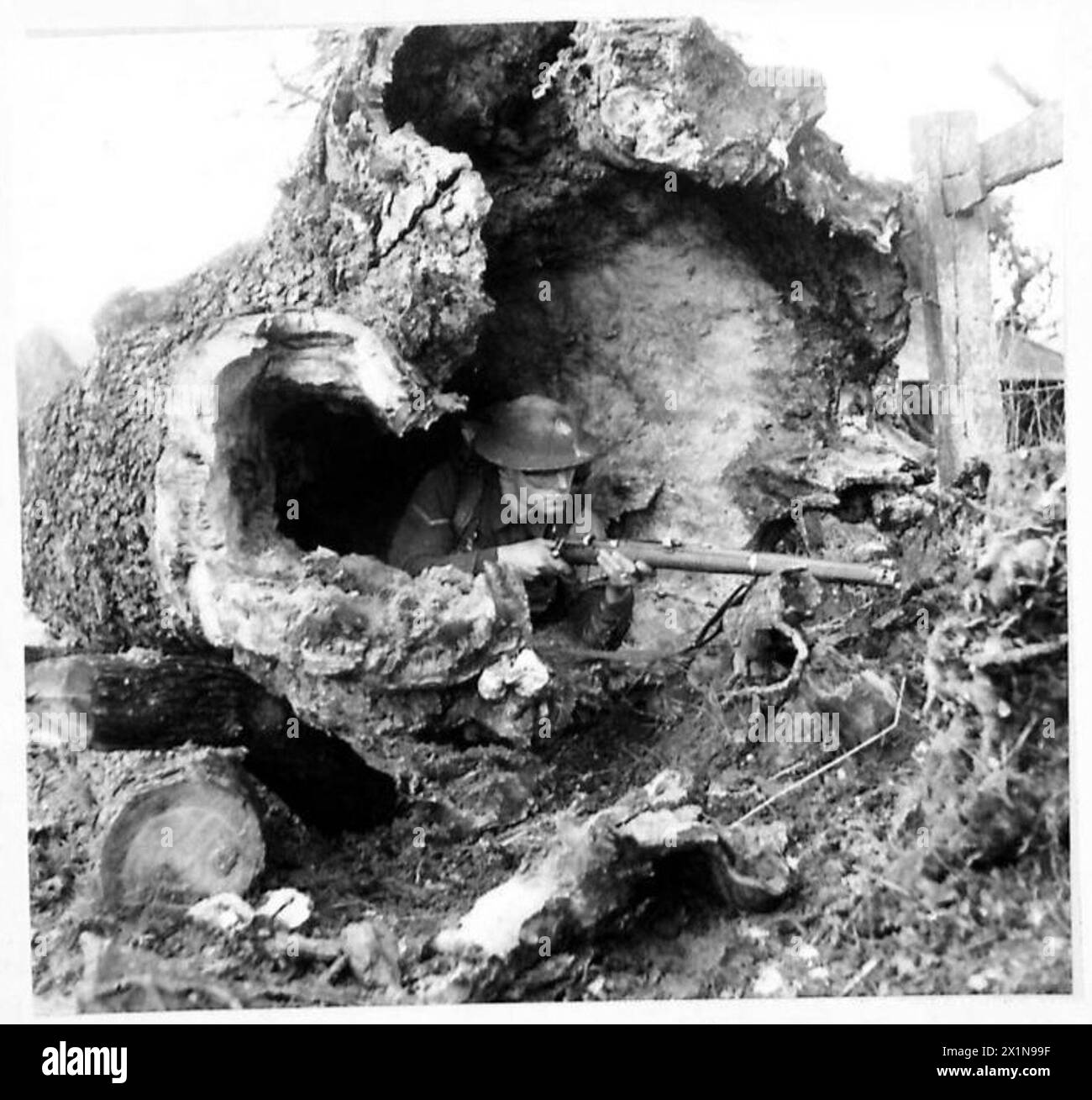Un soldat des South Wales Borderers utilise un tronc d'arbre creux comme position de tireur d'élite, démontrant une formation à l'utilisation de couverture naturelle pendant les opérations. Les troupes de l'armée britannique pratiquent la dissimulation tactique et le positionnement sur le terrain. Banque D'Images