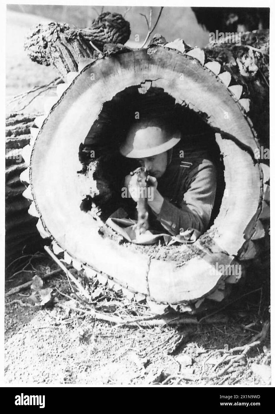 Au cours d'un exercice divisionnaire, un tireur d'élite de l'armée britannique est dissimulé dans le tronc creux d'un arbre pour l'entraînement sur le terrain et l'observation tactique. Banque D'Images
