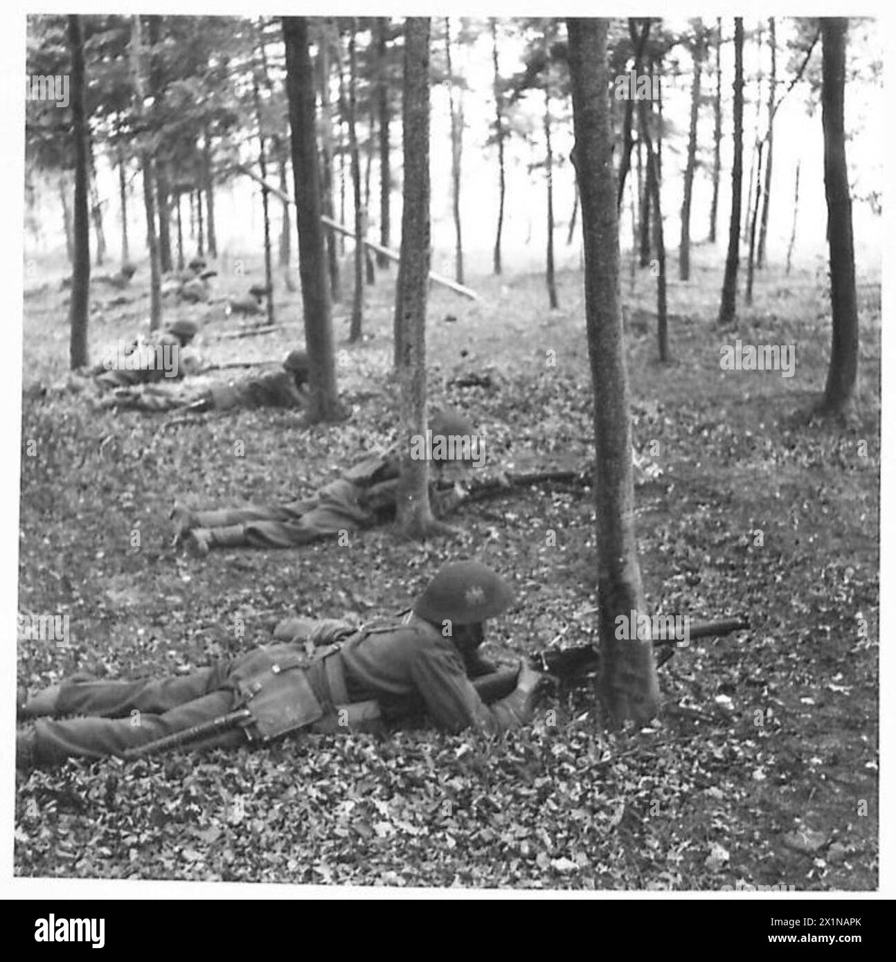 EXERCICE DIVISIONNAIRE DE COMMANDEMENT ORIENTAL - unités d'infanterie dans les bois en attente d'ordres pour avancer, armée britannique Banque D'Images