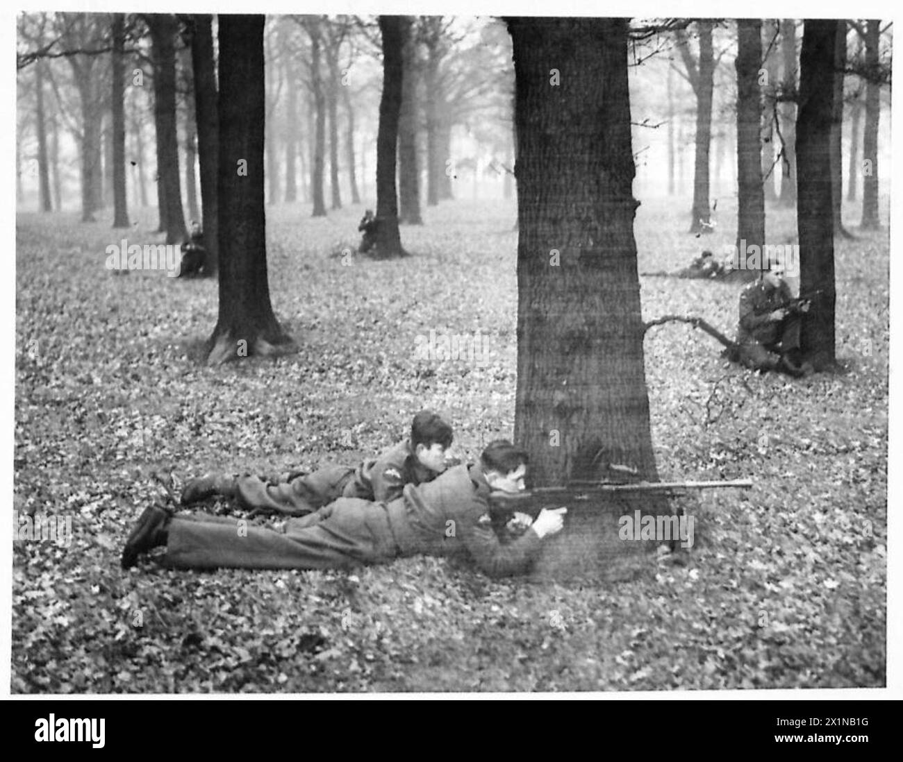 Les troupes de parachutistes de l'armée britannique se mettent à l'abri dans une zone boisée suite à un débarquement lors d'un exercice d'entraînement. Cette formation fait partie de leur préparation aux opérations aéroportées. Banque D'Images