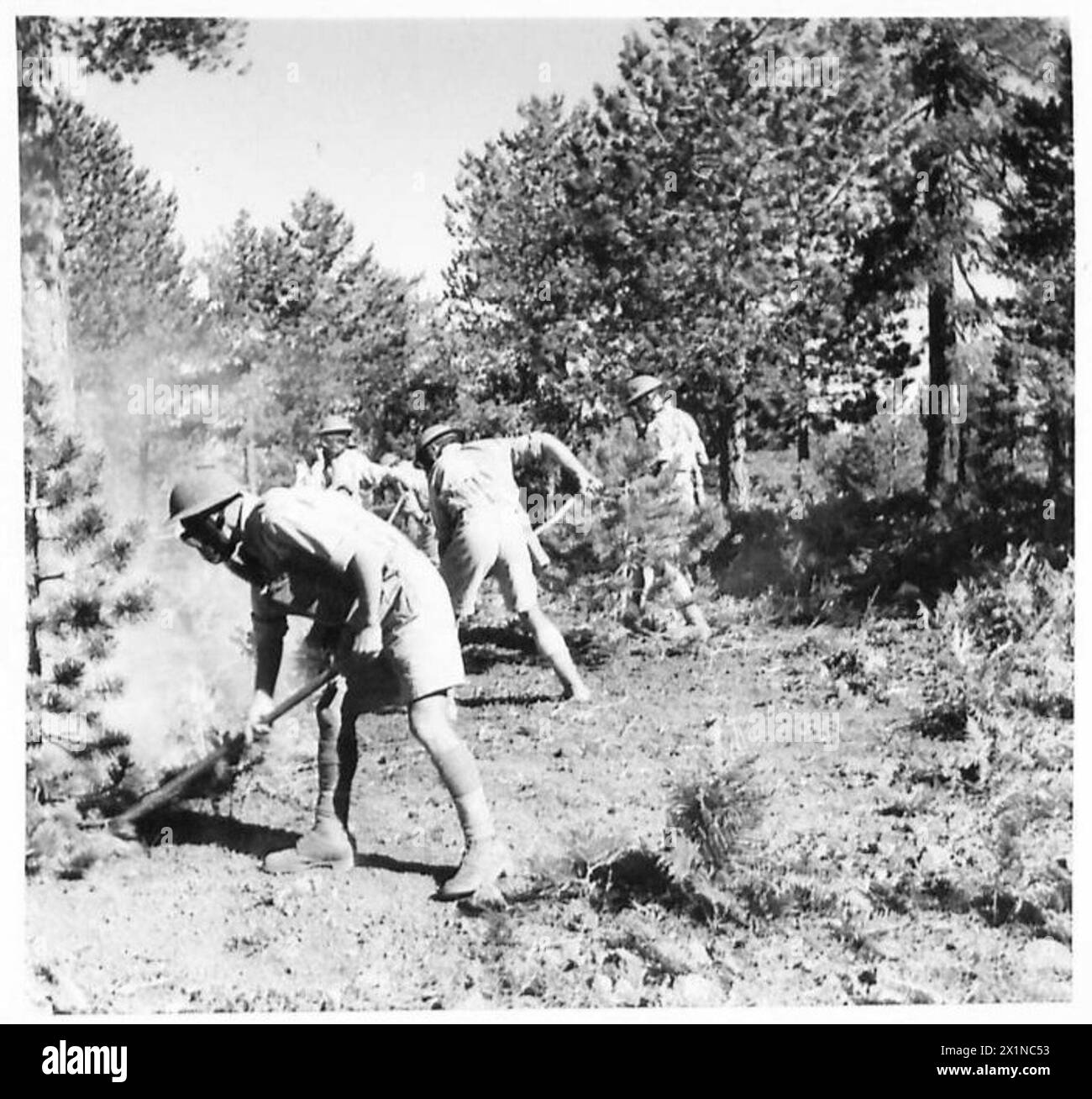 Une compagnie forestière de la Cyprus Volunteer Force combat activement un incendie, contrôlant et éteignant avec succès les flammes, armée britannique. Banque D'Images Une compagnie forestière de la Cyprus Volunteer Force combat activement un incendie, contrôlant et éteignant avec succès les flammes, armée britannique. Banque D'Images