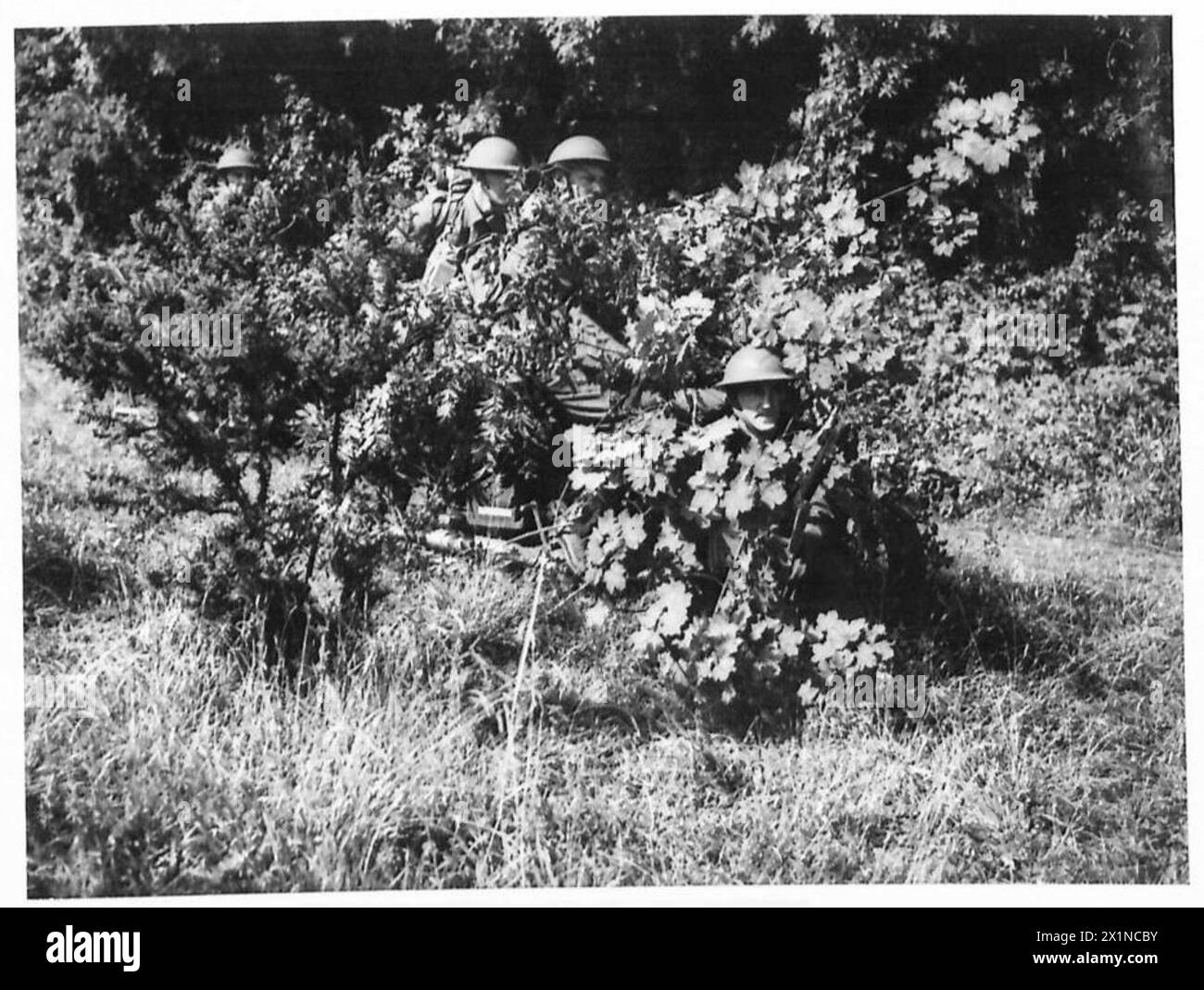 Un motocycliste camouflé de l'armée britannique, Royal Northumberland Fusiliers, est déployé pour la reconnaissance, mettant en valeur la mobilité sur le terrain et la disponibilité opérationnelle. Banque D'Images