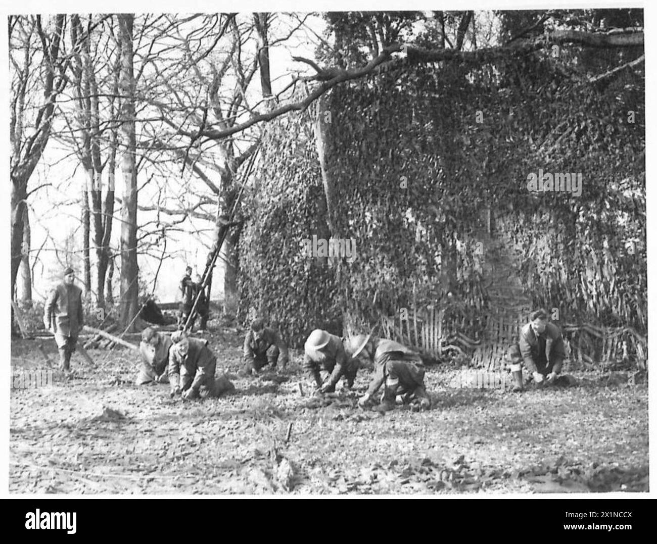 Personnel du 11e corps pratiquant les techniques de camouflage, armée britannique. Banque D'Images