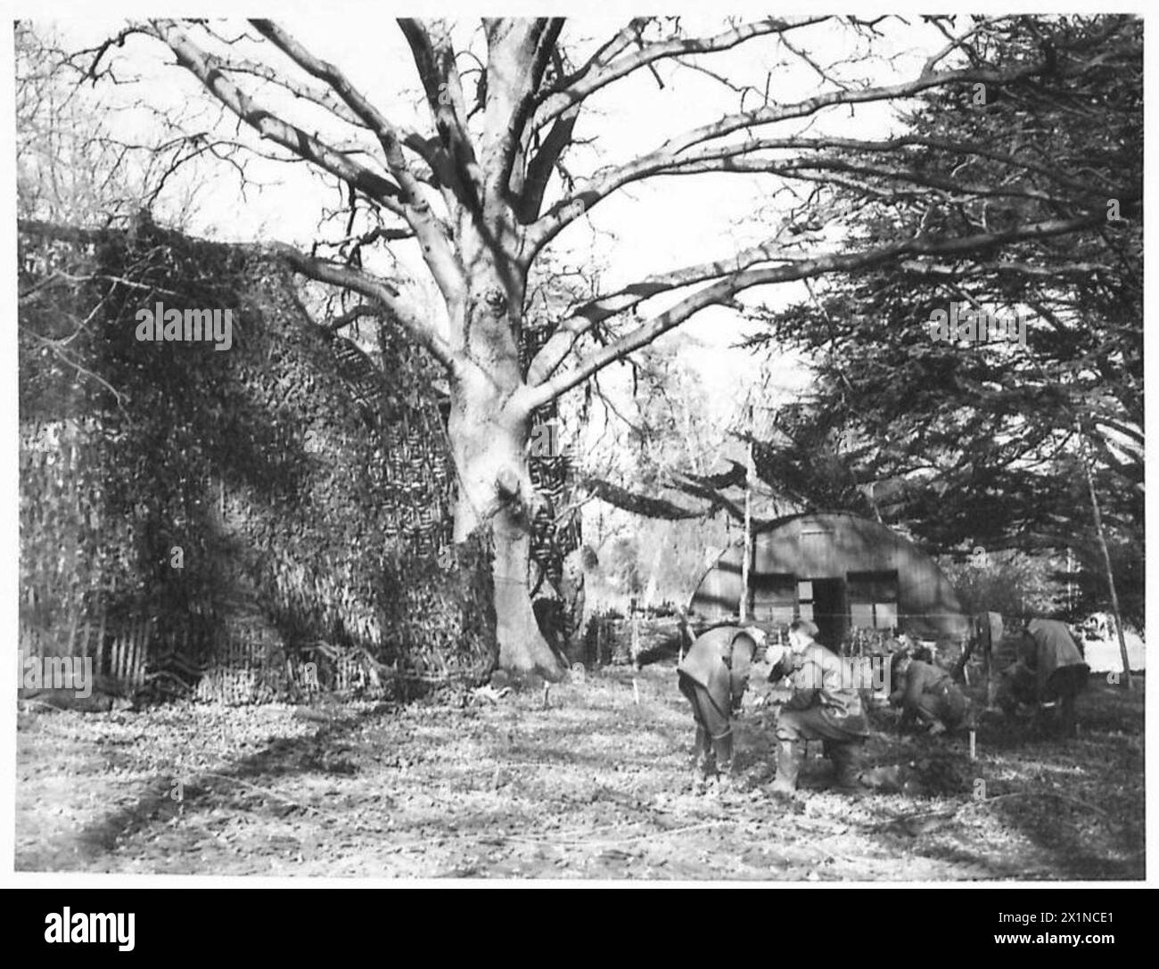 Le 11e corps de l'armée britannique utilise des techniques de camouflage. Banque D'Images