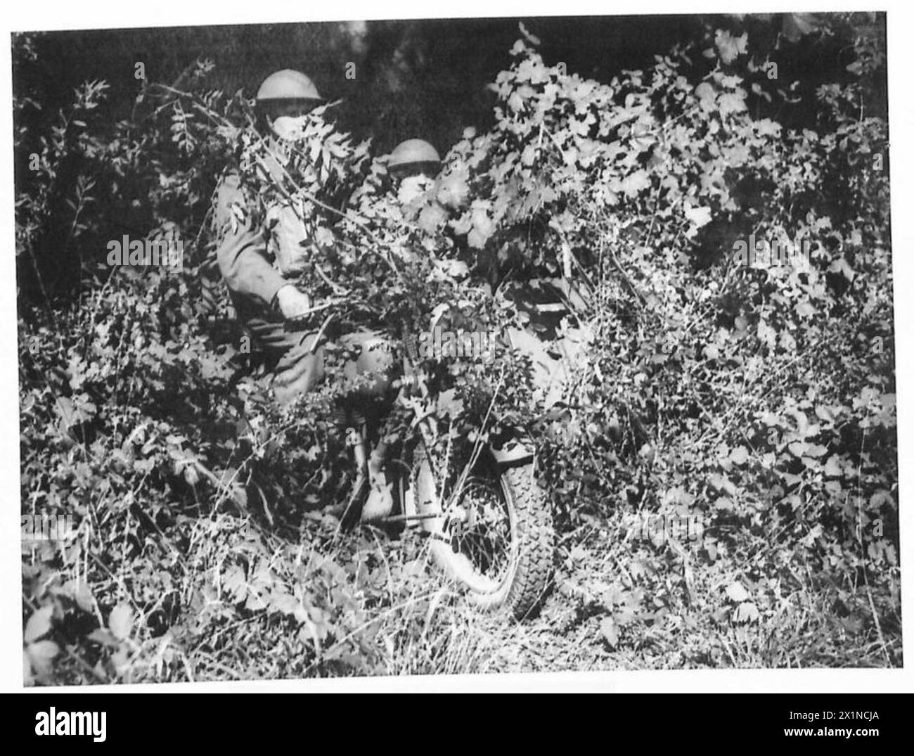 Un motocycliste camouflé de l'armée britannique, Royal Northumberland Fusiliers, est préparé pour des missions de reconnaissance, démontrant sa mobilité militaire et sa préparation sur le terrain. Banque D'Images