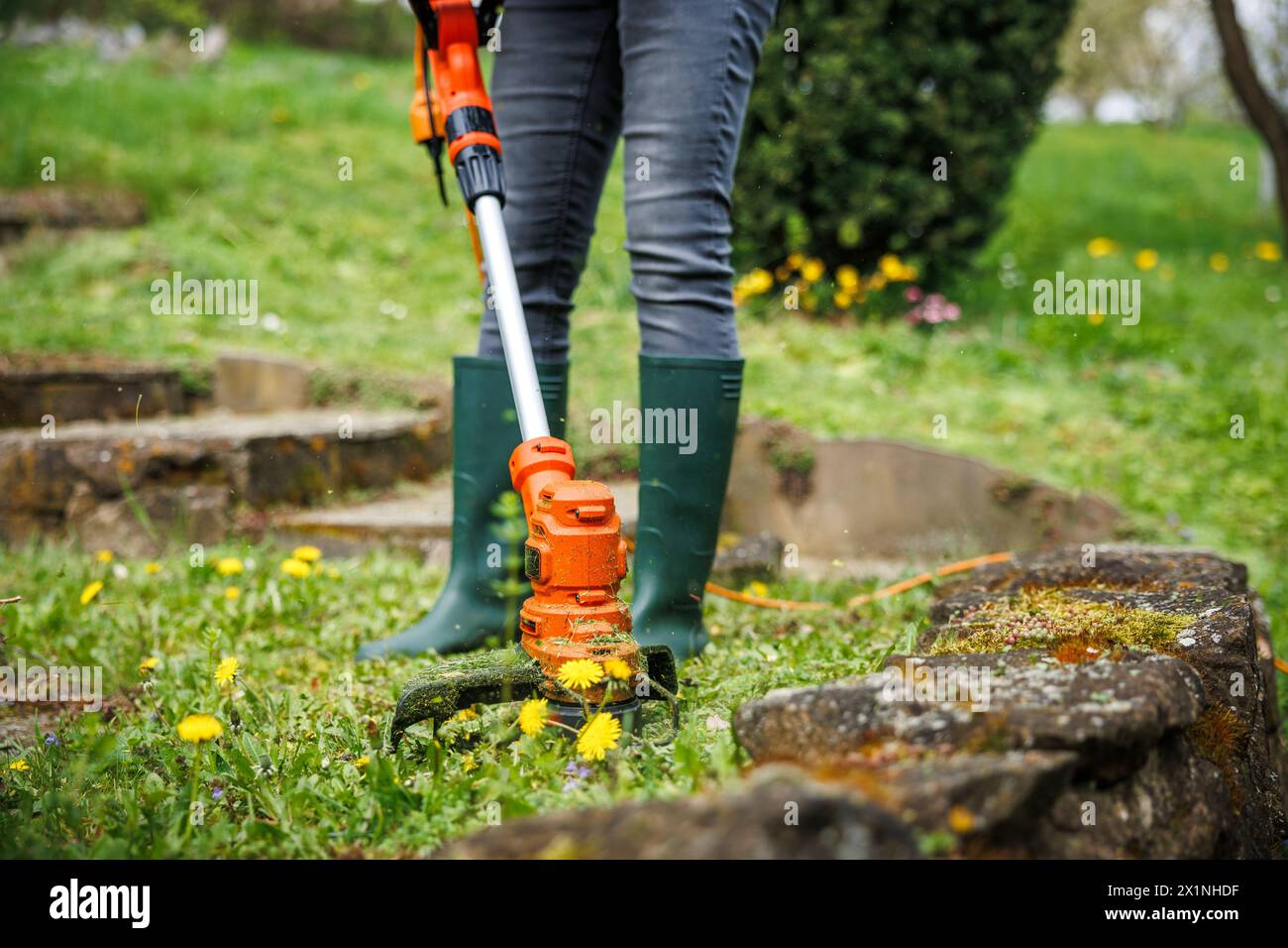 Coupe-herbe. Femme jardinière coupe l'herbe à côté du mur de pierre dans le jardin. Entretien des pelouses Banque D'Images