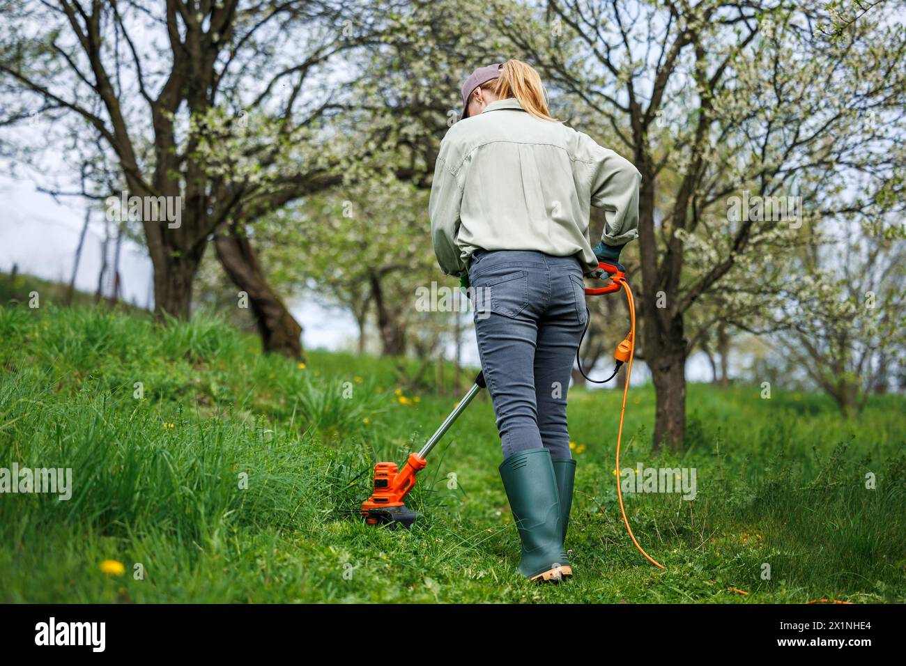 La femme coupe l'herbe par coupe-herbe dans le jardin. Tondre la pelouse dans le verger. Jardinage de printemps Banque D'Images