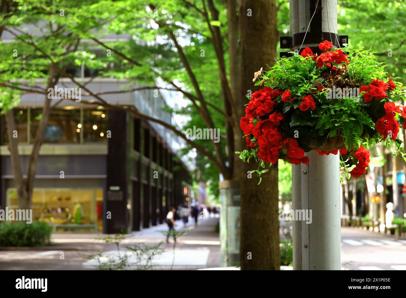 Tokyo Street View une scène du début de l'été de Marunouchi Nakadori Street avec des fleurs de ranoncule rouge vif ornant les lampadaires Banque D'Images