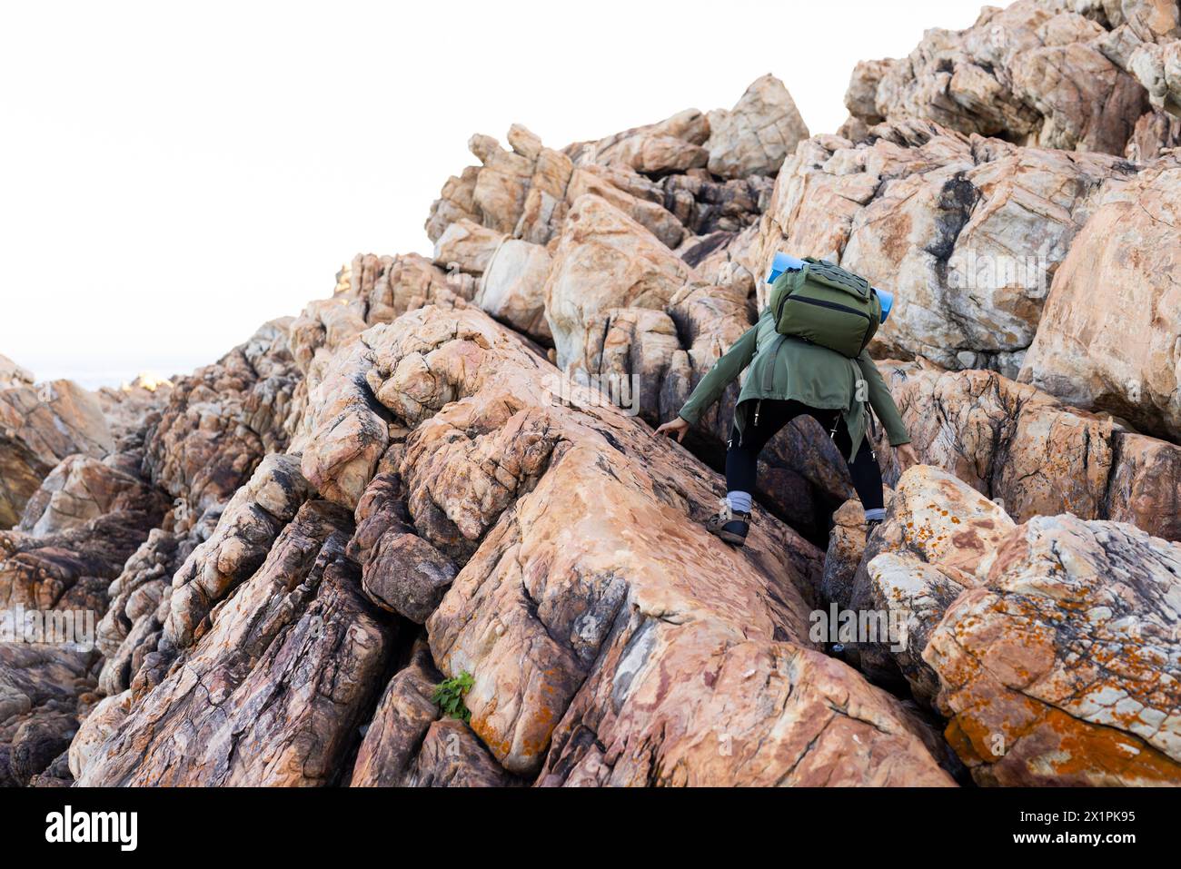 Randonneur féminin biracial escaladant un terrain rocheux au milieu de la nature, espace de copie Banque D'Images