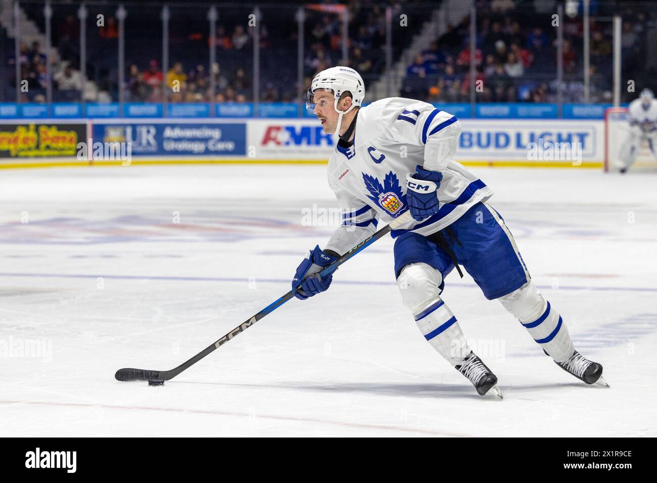 17 avril 2024 : L’attaquant des Marlies de Toronto Logan Shaw (11 ans) patine en première période contre les Américains de Rochester. Les Américains de Rochester ont accueilli les Marlies de Toronto dans un match de la Ligue américaine de hockey au Blue Cross Arena de Rochester, New York. (Jonathan Tenca/CSM) (image crédit : © Jonathan Tenca/Cal Sport Media) Banque D'Images